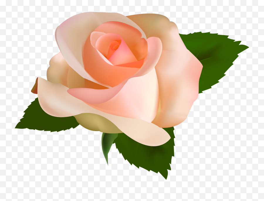 Emoji Clipart Rose Emoji Rose - Beautiful Roses With Transparent Background,Pink Rose Emoji