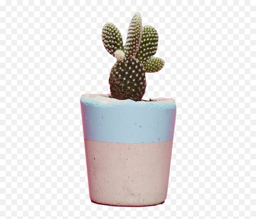 Cactus Sticker Cactussticker - Girly Emoji,Cactus Art Emoji