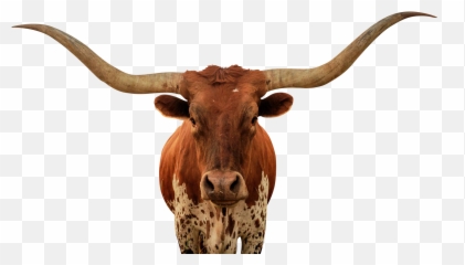 Free Longhorn Head Silhouette Download - Longhorn Bull Png Emoji,Longhorn Cattle Emoji Sign