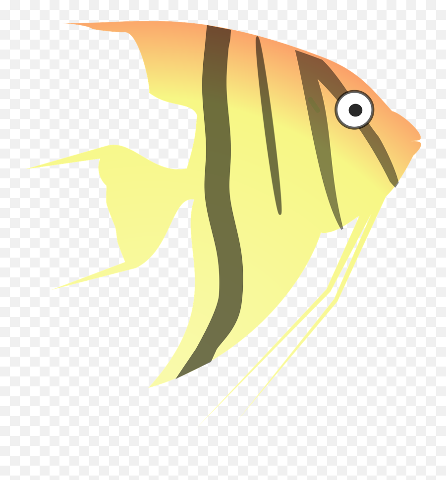 Httpswwwpicpngcomanimal - Armadilloarmorarmourpng Angel Fish Clipart Transparent Background Emoji,Chicken And Hatchet Animated Emoticon