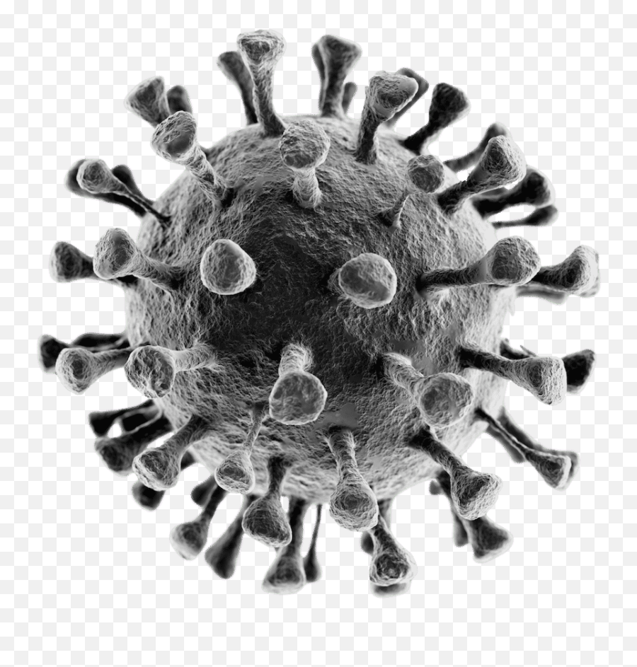 Crónica Del Creador Del Virus U2013 Winston Canaris - Coronavirus Ka Emoji,Emojis Estafado