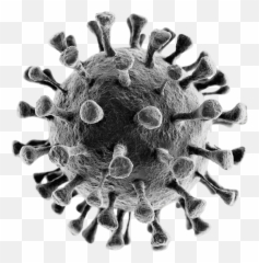 Crónica Del Creador Del Virus U2013 Winston Canaris - Coronavirus Ka Emoji,Emojis Estafado