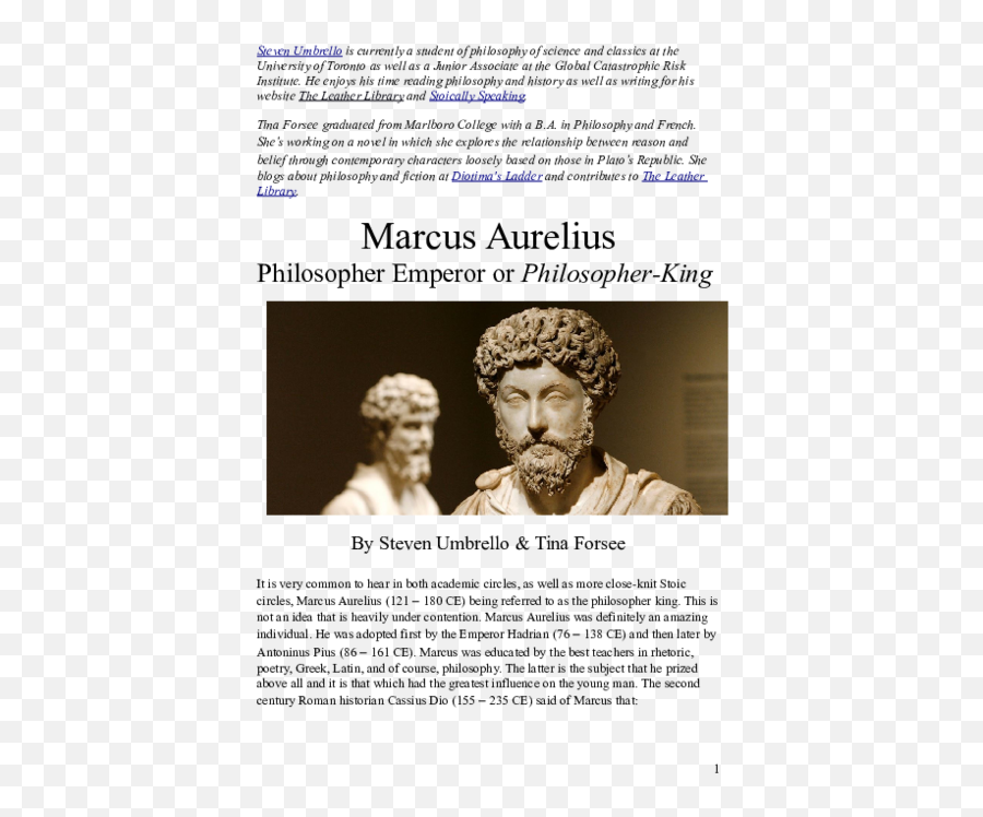 Philosopher Emperor - Hair Design Emoji,Marcus Aurelius Emotion Quotes