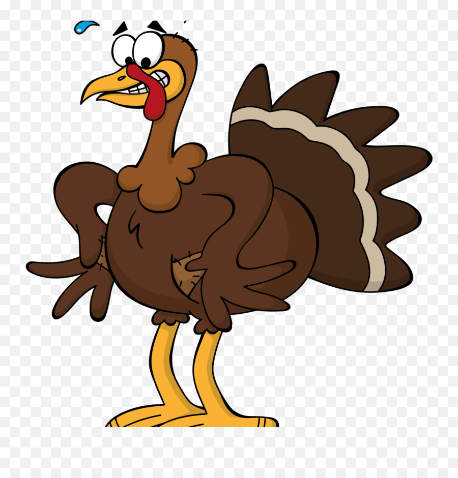 Run Turkey - Jokes Happy Thanksgiving Funny 2019 Emoji,Emotions Turkeys Feel
