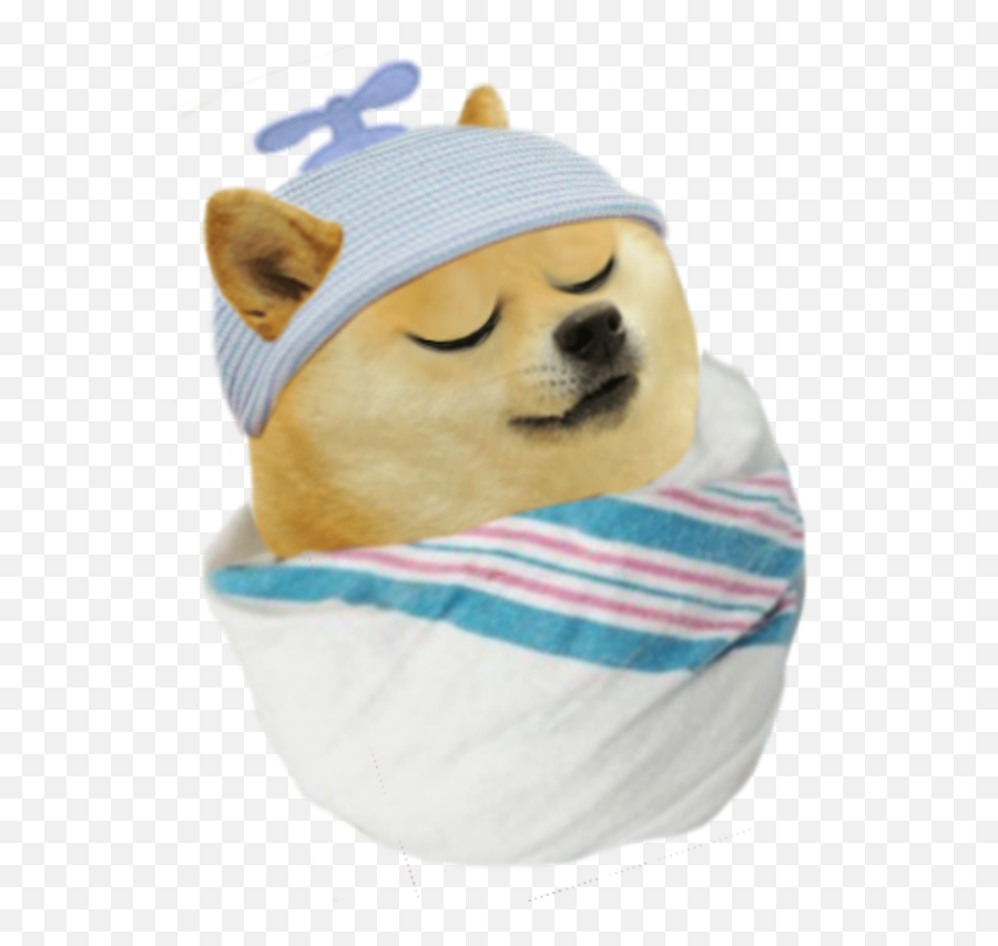 Le Baby Lil Bro Has Arrived Rdogelore Ironic Doge Emoji,What Does The Frog Coffee Emoji Mean