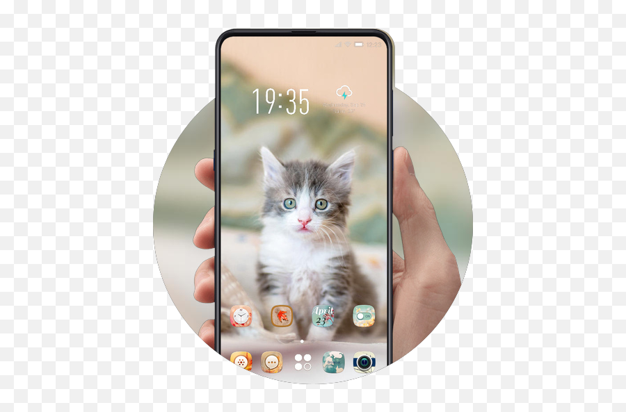 Pet Animal Starry Kitten Lovely Cute Theme - Apps En Google Play Emoji,Imagenes De Emojis Para Descargar Glasses