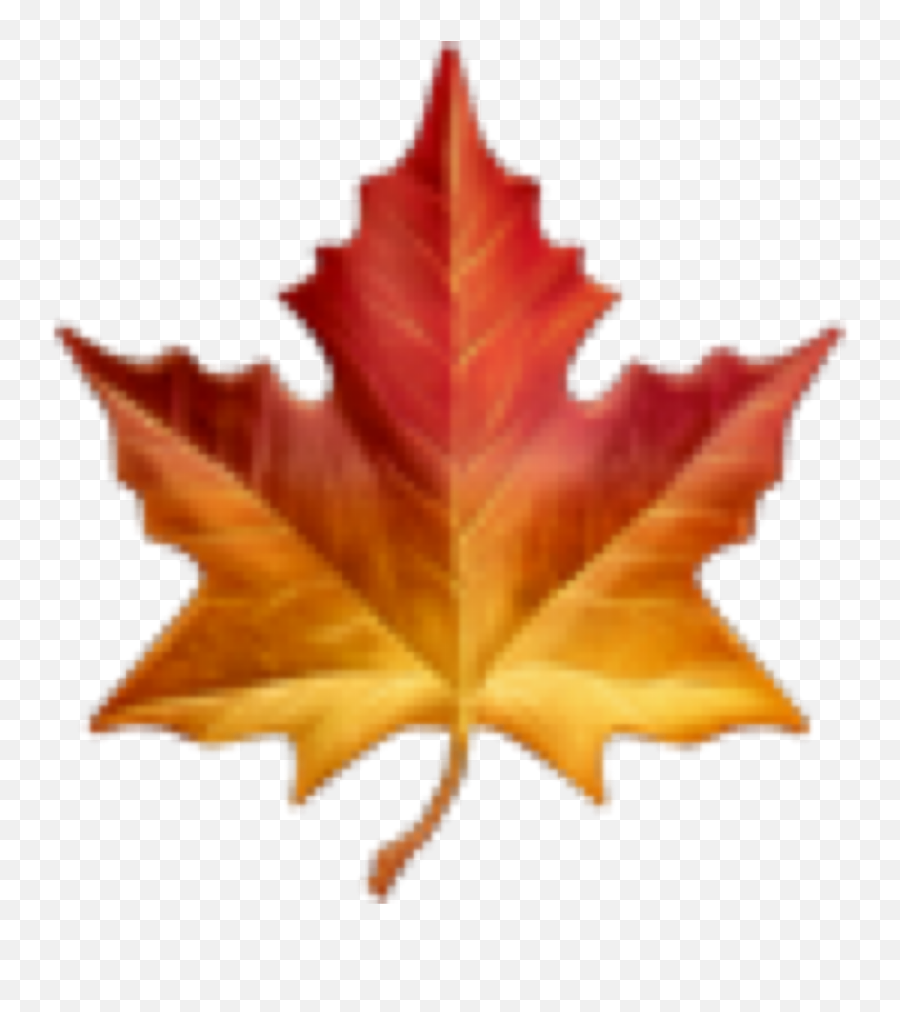 Fall Autumn Emoji Leaf Sticker - Gen Z Emoji Meanings,Leaf Emoji