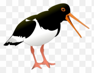Oyster Catcher Bird Png Svg Clip Art For Web - Download Emoji,Oysters Emoji