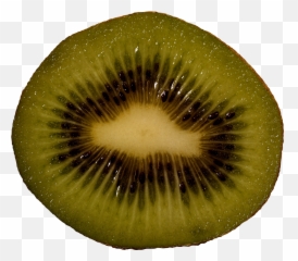 Free Fruit Kiwi Png Pictures Download - Kiwifruit Emoji,Kiwi Bird Emoji