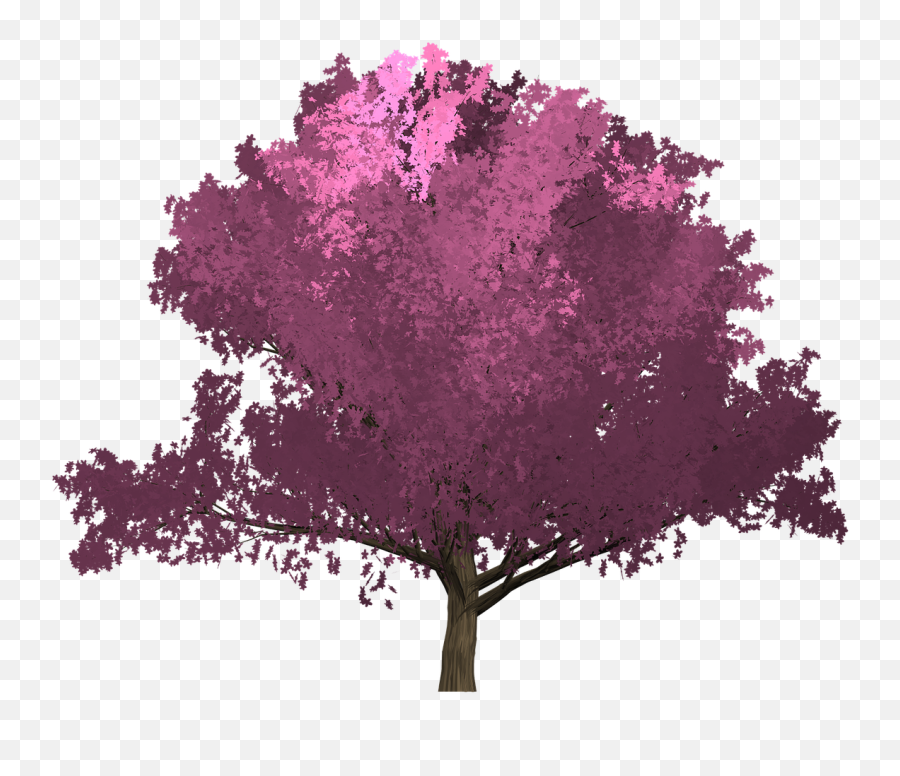 Pink Trees Cherry Blossom Tree Tattoo - Purple Tree Painting Transparent Emoji,Pierre Cardin Emotion