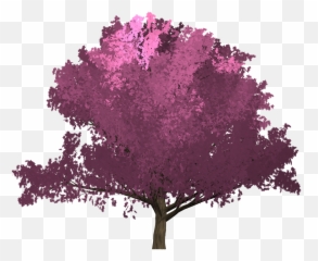 Pink Trees Cherry Blossom Tree Tattoo - Purple Tree Painting Transparent Emoji,Pierre Cardin Emotion