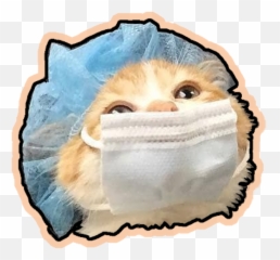 Cat Eating To Make Her Human Happy - Soft Emoji,Emotion Reacting Cat Ears