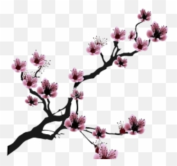 Cherry Blossom Drawing Clip Art - Cherry Blossom Branch Drawing Emoji,Cherry Blossom Emoji