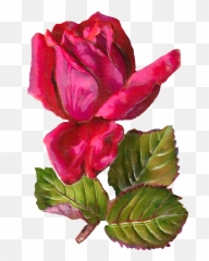 Pin - Free Scraps Tube Emoji,Rose Emoticon For Tatto