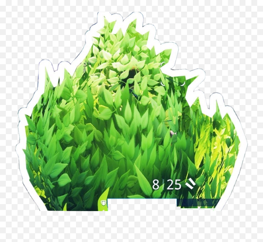 Ajicukrik Fortnite Bush - Fortnite Bush Camper Png Emoji,Dur Emoticon Fortnite Challenge