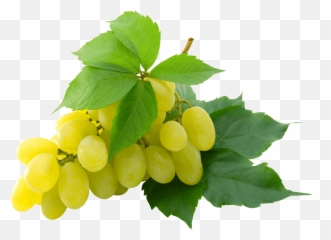 Grapes Clipart Single Grape - White Grapes Transparent Background Emoji,Grape Emoji