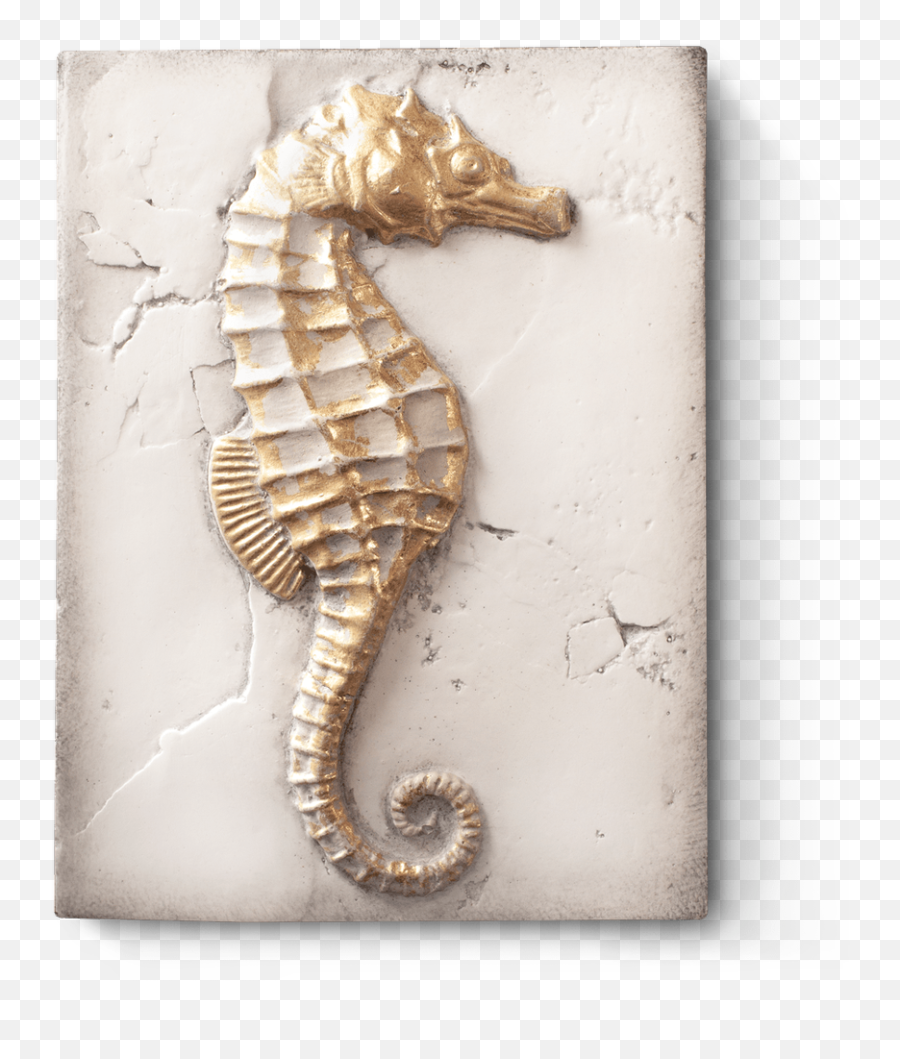 Sid Dickens - Seahorse Gold Frame Sid Dickens Seahorse Emoji,Facebook Emoticons Seahorse