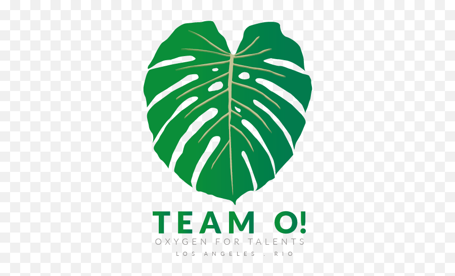 Team O - Oxygen For Talents Vertical Emoji,Emotion Coaching Dvd