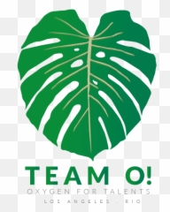 Team O - Oxygen For Talents Vertical Emoji,Emotion Coaching Dvd