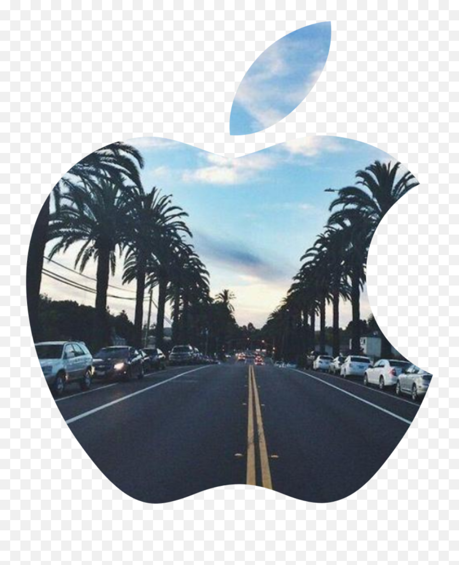 Apple Iphone Sticker By Iu0027m Editingvalley On Insta - Road With Pom Trees Emoji,Palm Tree Emoji Iphone