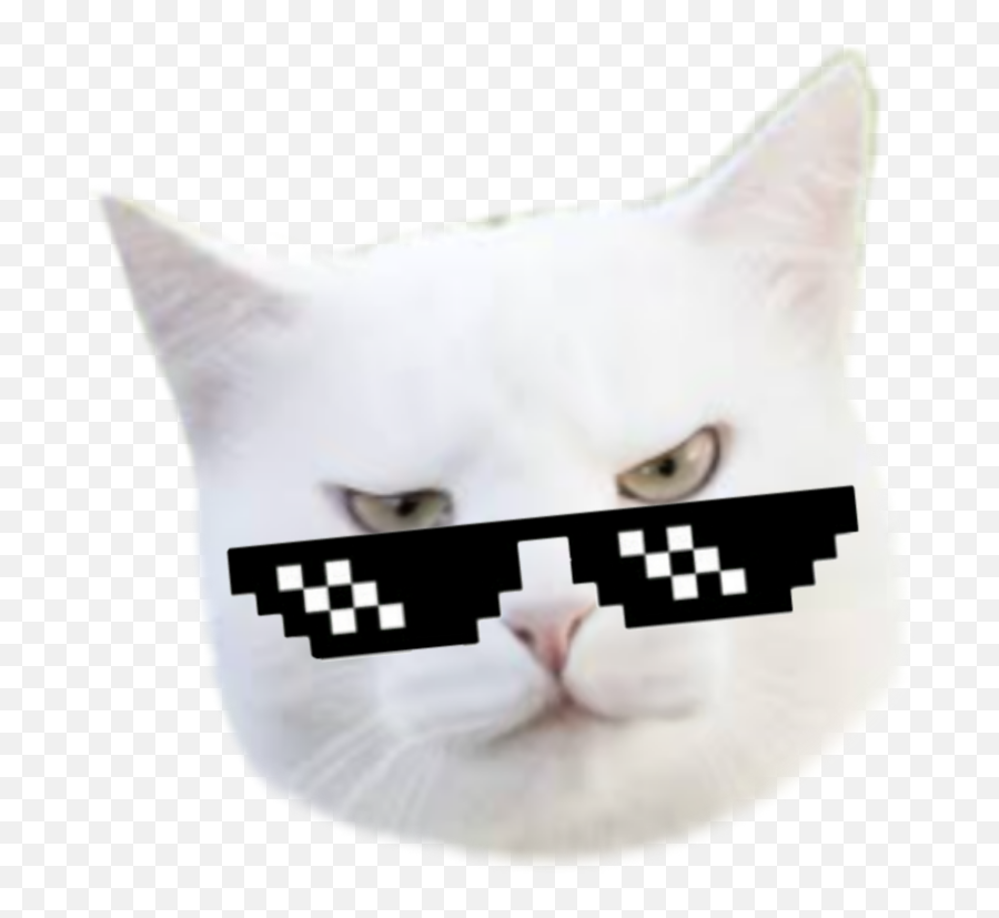 Discover Trending - Soft Emoji,Cat Emoji Sunglasse