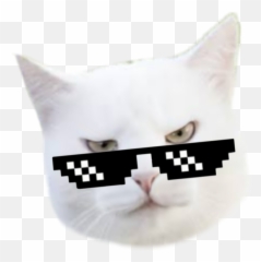 Discover Trending - Soft Emoji,Cat Emoji Sunglasse