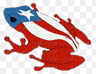 Coqui Puerto Rico Flag Sticker - Coqui Frog Clipart Emoji,Puerto Rico Emoji