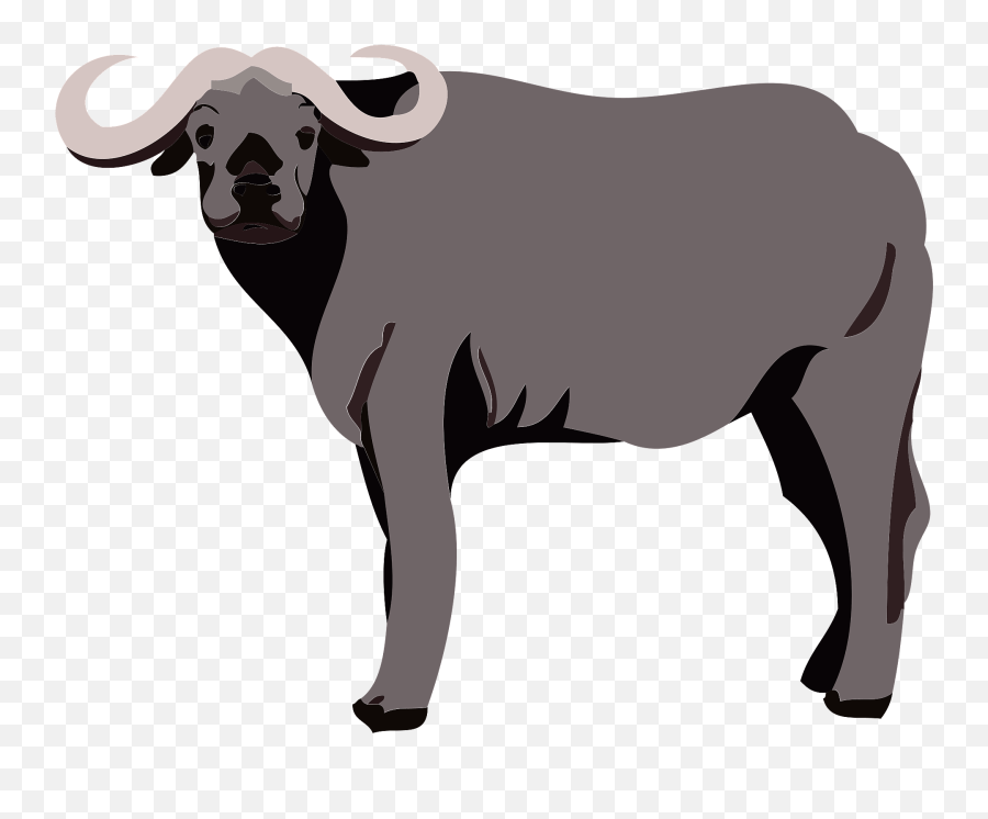 Water Buffalo Clipart Free Download Transparent Png - Transparent Water Buffalo Clipart Emoji,French Horn Emoji