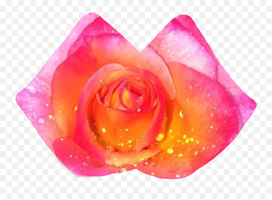 Roses Lips Kiss Ftelips Dont Sticker Emoji,Rose Stars Lipdls Emoji