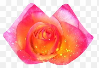 Roses Lips Kiss Ftelips Dont Sticker Emoji,Rose Stars Lipdls Emoji