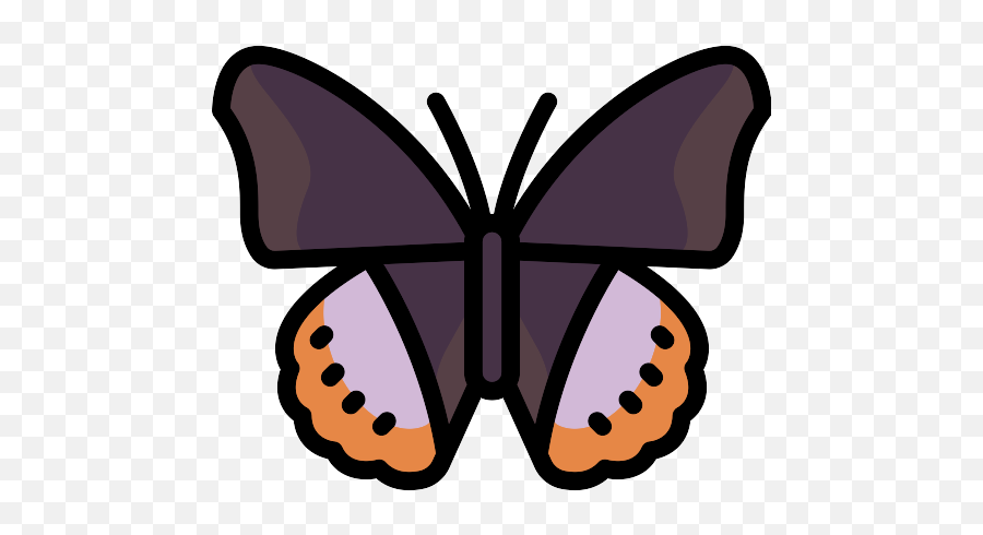 Butterfly Vector Svg Icon 29 - Png Repo Free Png Icons Girly Emoji,Purplebutterfly Emojis
