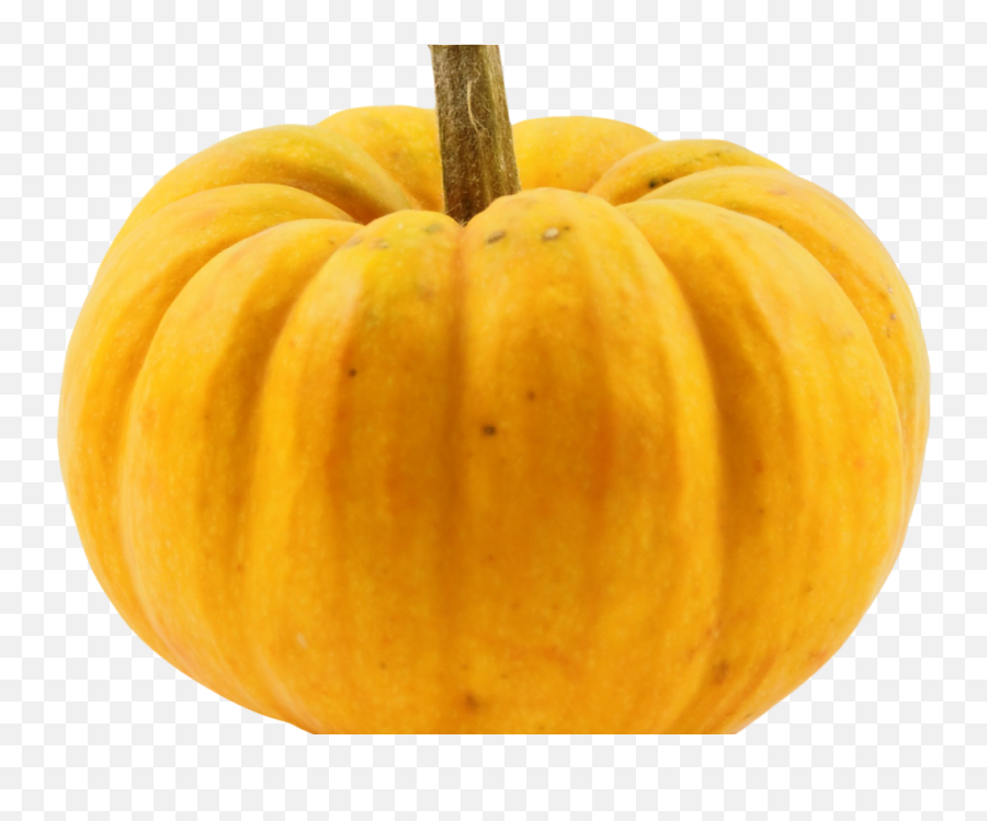 Pumpkin Png - Pumpkin Png Image2 Pumpkin 416177 Vippng Squash Png Emoji,Emoji No Carve Pumpkins