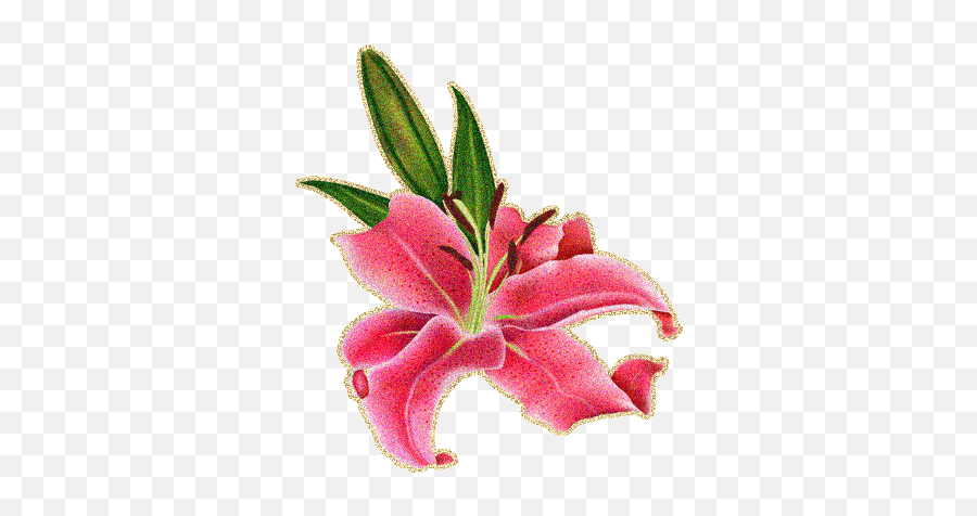 Lilies On Gifs - Beautiful Bouquets Flowers And Backgrounds Emoji,Flashing Goodmorning Emoticons