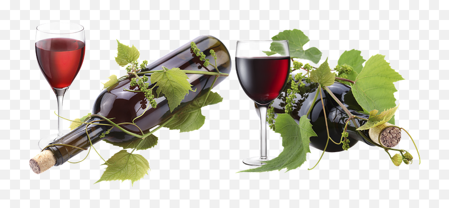 100 Free A Glass Of Wine U0026 Wine Images Emoji,Wineglass Emoji