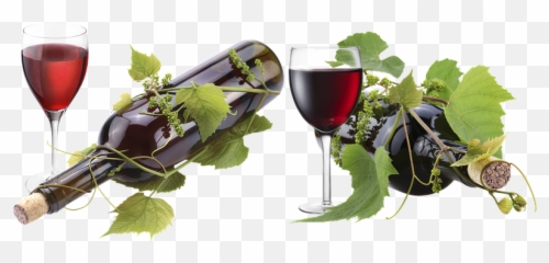 100 Free A Glass Of Wine U0026 Wine Images Emoji,Wineglass Emoji