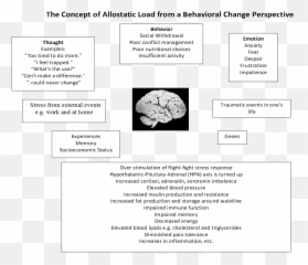 Mind - Body Balance The Science Of Allostasis U2014 Good Girl Go Horizontal Emoji,Stress Body Mind Emotions Behavior