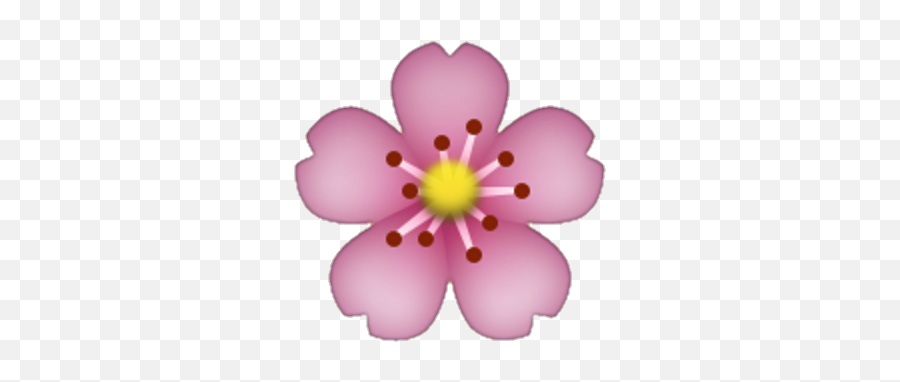 Flower Emoji Png Flower Emoji Png - Cherry Blossom Emoji Png,Cherry Blossom Emoji