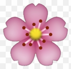 Flower Emoji Png Flower Emoji Png - Cherry Blossom Emoji Png,Cherry Blossom Emoji