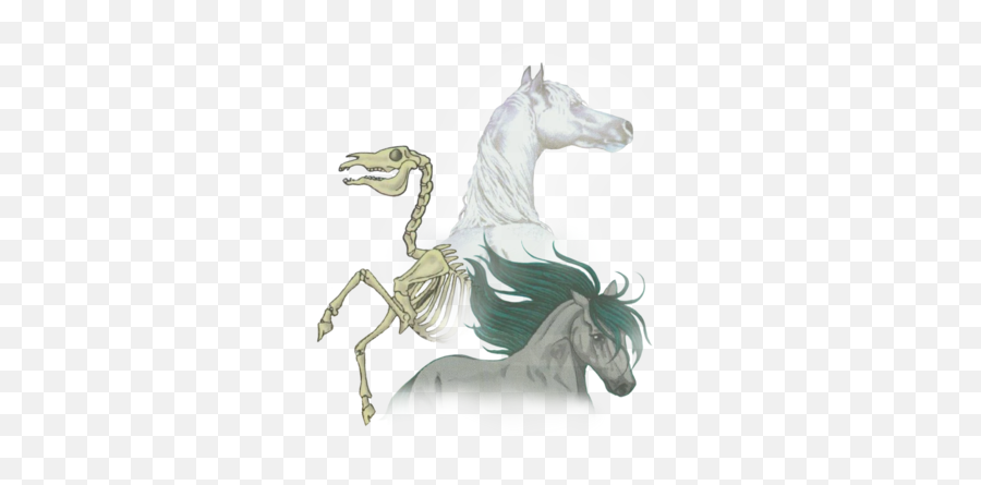 Types Of Horses The Bella Sara Wiki Fandom - Skeletal Horse Fan Art Emoji,Horse Emotions