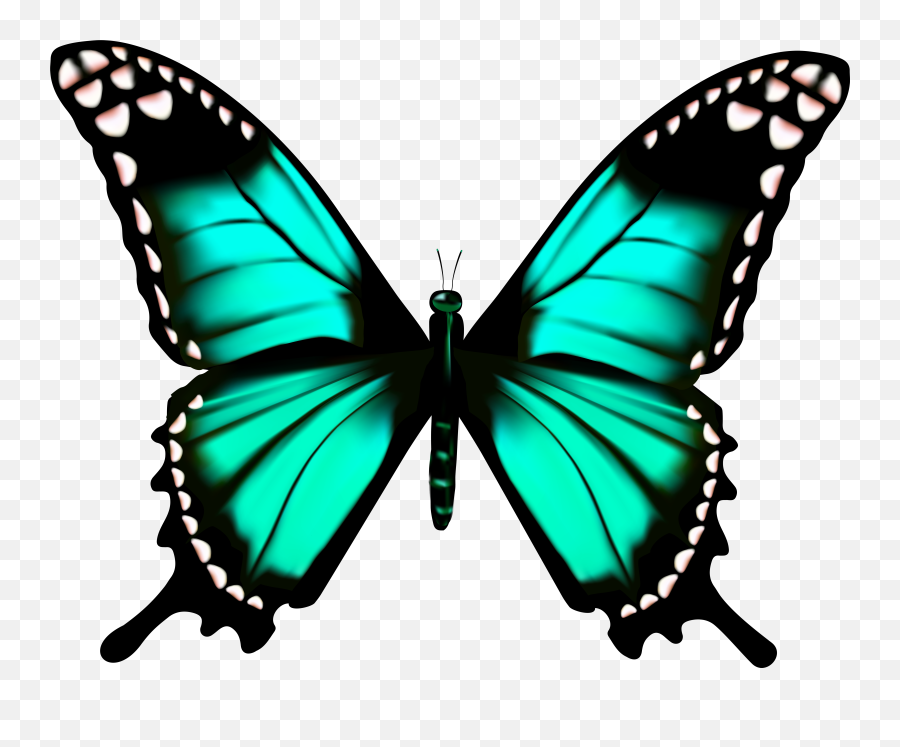 Butterfly Transparent Clip Art Image Gallery Yopriceville - Draw A Big Butterfly Emoji,Butterfly Emoji Png
