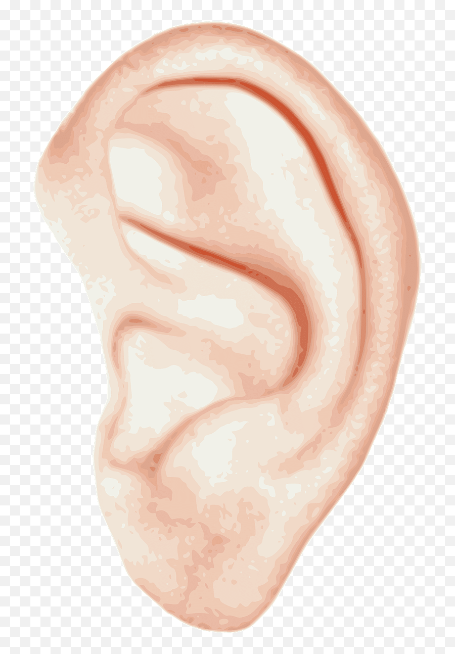 Help Tinnitus In The Ears - Girls Ear Png Emoji,Nekomimi Emotion Ears