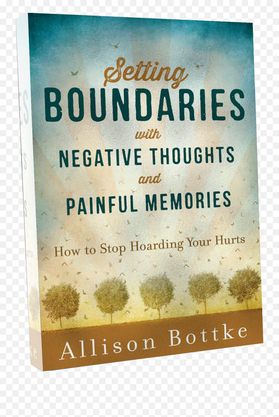Sanity Support - Allison Bottke Emoji,Boundaries Emotions Book