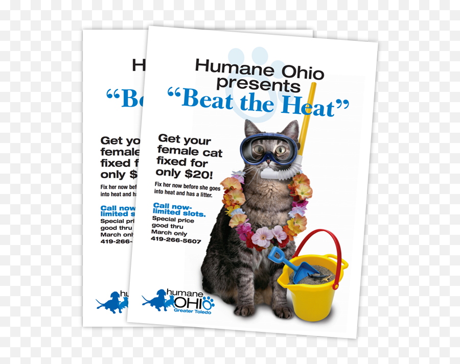 Beat The Heat Flyer Animal Rescue Ideas Dog Dental Neuter - Spay And Neuter Cats Beat The Heat Emoji,Neutered Dog Emoticons