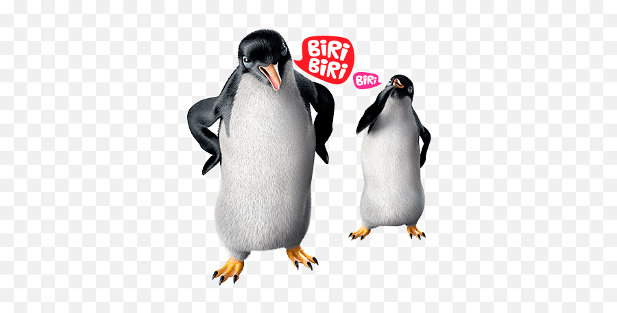 Pingüinos U2013 Menos Rotina Mais Biri Biri - Biri Biri Pingüinos Png Emoji,Emojis De Pinguinos Utilizables