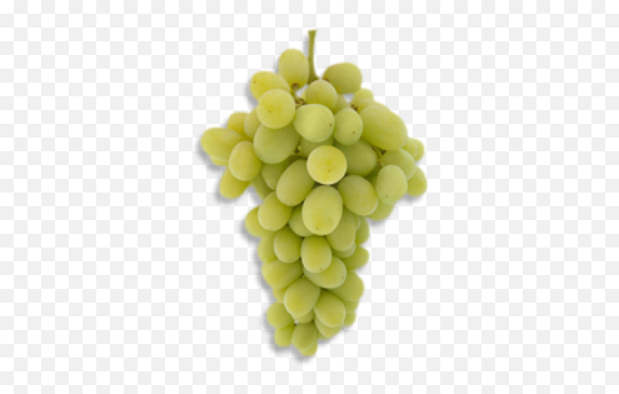 Green Grapes Png Pic Png Arts - Princess Seedless Grapes Emoji,Grapes Emoji Transparent