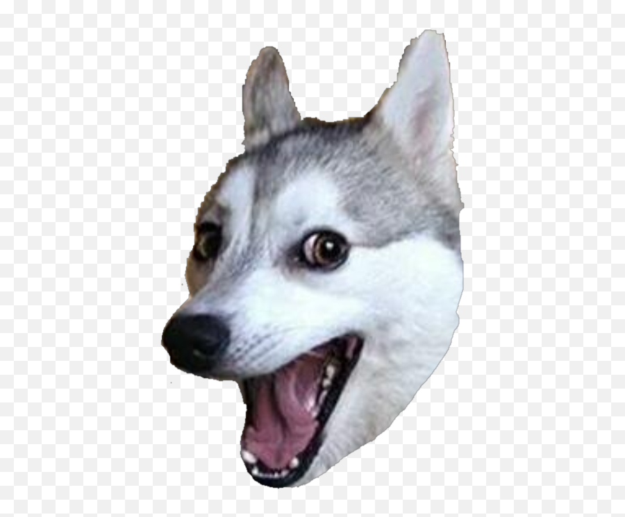 Second Post Pog Uclaimfont Emoji,Werewolf Emojis