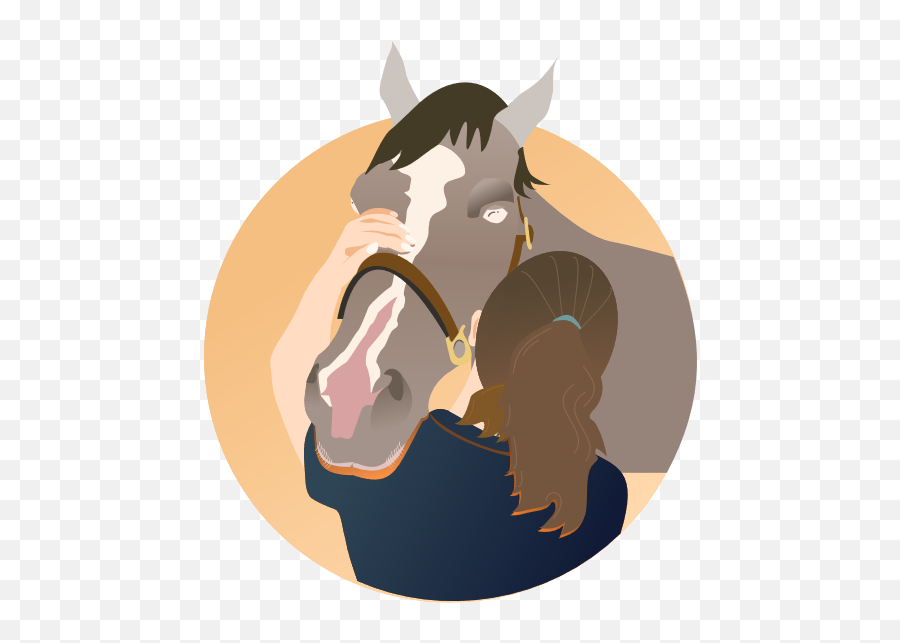 Home - Horse Cryochamber Emoji,Carousel Horse Emoji