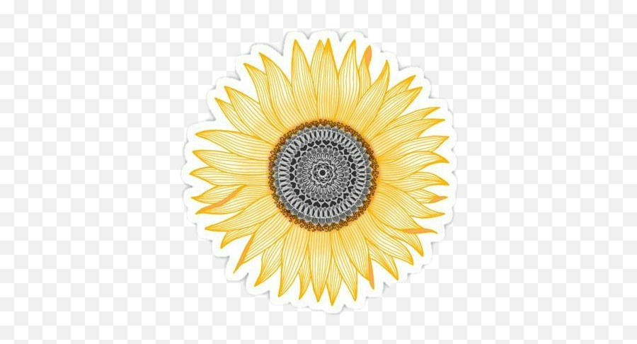 Sunflower Stikers Flower Sticker - Gutschein Kaufland Emoji,Flowe Emoji