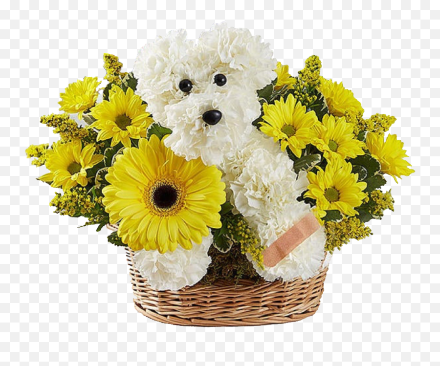 Flower Delivery Kingston Send Flowers To Kingston Ny Emoji,Emoticon Giving Flowers