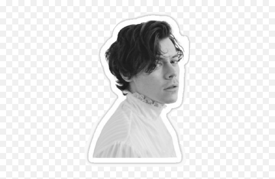 One Direction Stickers - Harry Styles Rolling Stones Interview Emoji,1d Emoji